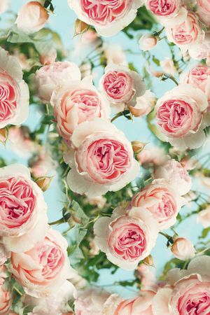 清新印花华亿平台图片