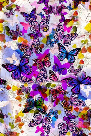 蝴蝶印花华亿平台图片