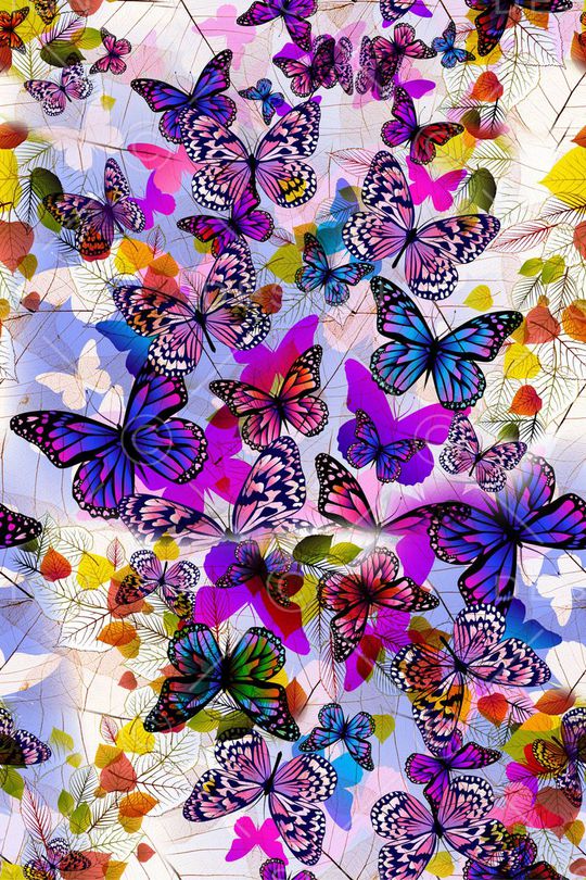 蝴蝶印花华亿平台图片