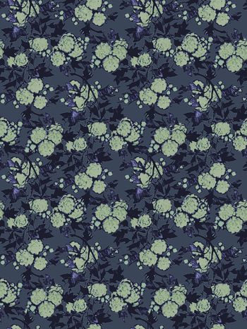 439442-枫树花开的季节