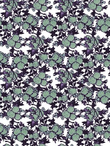 439443-枫树花开的季节