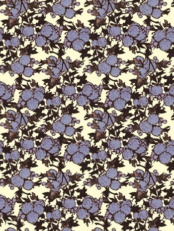 439444-枫树花开的季节