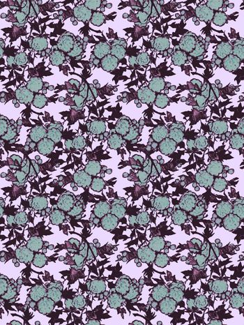 439445-枫树花开的季节