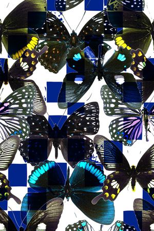 休闲印花华亿平台图片