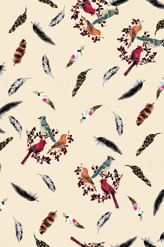 欧式绘画鸟印花华亿平台图片