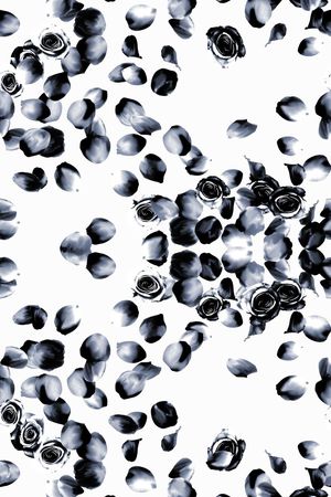 时尚手绘清爽花点男装女装衬衫 裙印花华亿平台图片