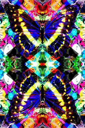 蝴蝶印花华亿平台图片