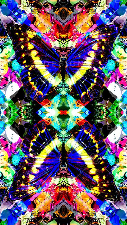 蝴蝶印花华亿平台图片