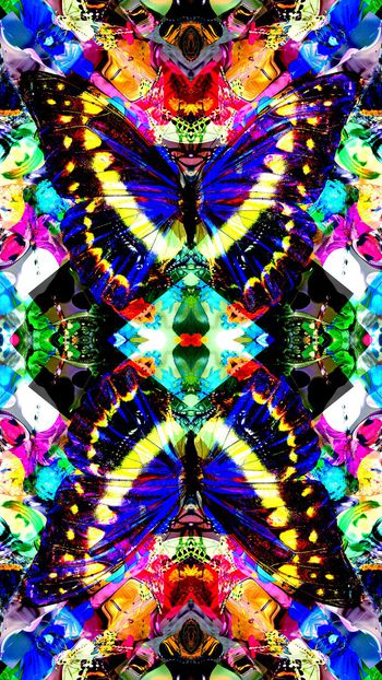 439652-展翅蝴蝶恋花卉几何花丛飞舞女装连衣