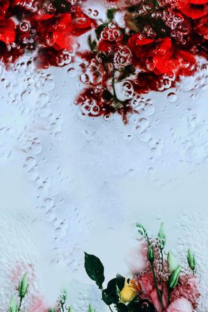 定位印花华亿平台图片