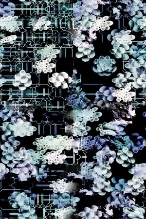 型男印花华亿平台图片