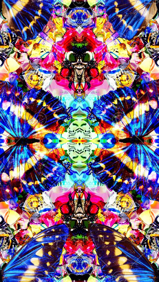 蝴蝶印花华亿平台图片