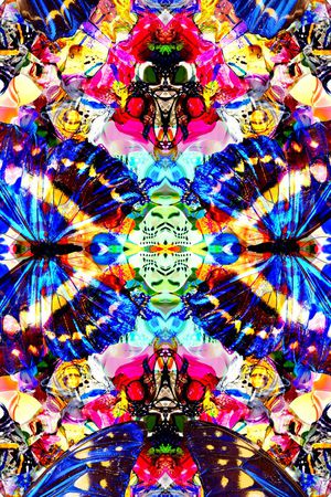 蝴蝶印花华亿平台图片