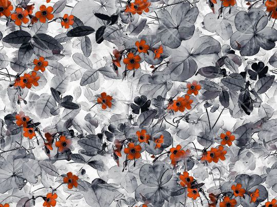 女装印花华亿平台图片