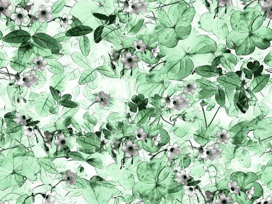 女装印花华亿平台图片