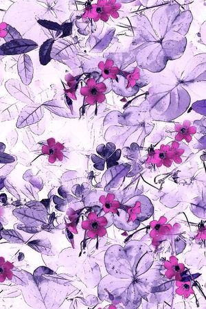 女装印花华亿平台图片