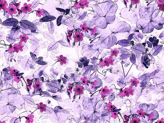 女装印花华亿平台图片