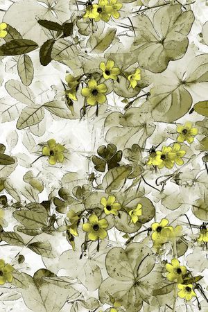 女装印花华亿平台图片