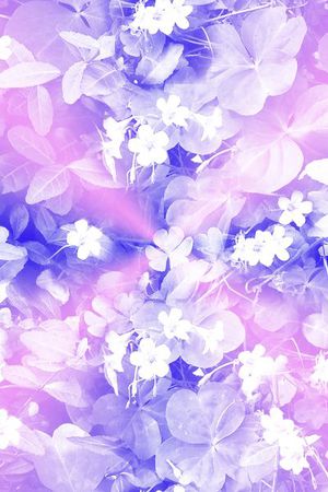 女裤印花华亿平台图片