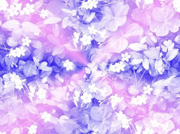 439872-过渡四叶草