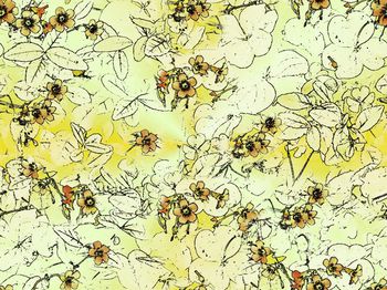 439873-过渡四叶草