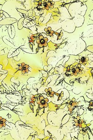 女裤印花华亿平台图片