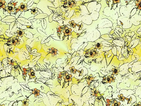 女裤印花华亿平台图片