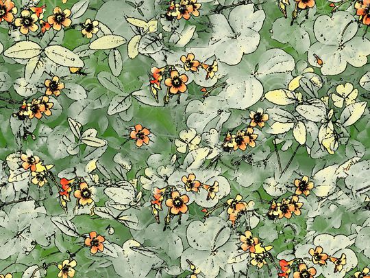 女裤印花华亿平台图片