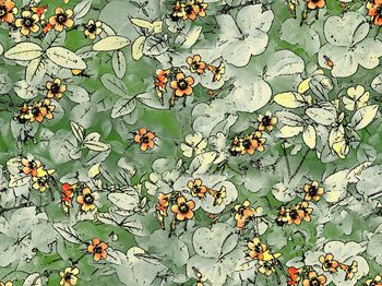 439874-过渡四叶草