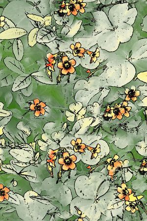 女裤印花华亿平台图片