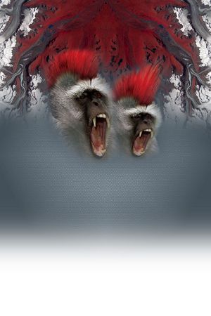 定位印花华亿平台图片