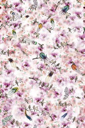 彩色羽毛印花华亿平台图片