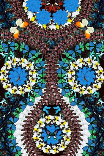 439931-高端蝴蝶肌理定位复古服装华亿平台组合.