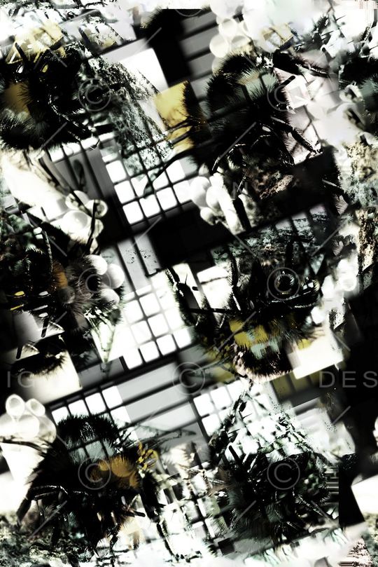 方框印花华亿平台图片