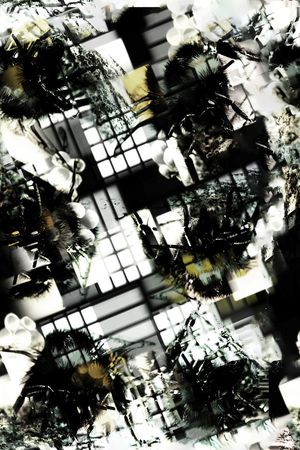 方框印花华亿平台图片