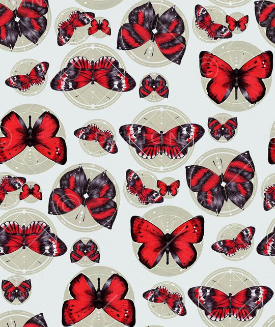 标本蝴蝶印花华亿平台图片