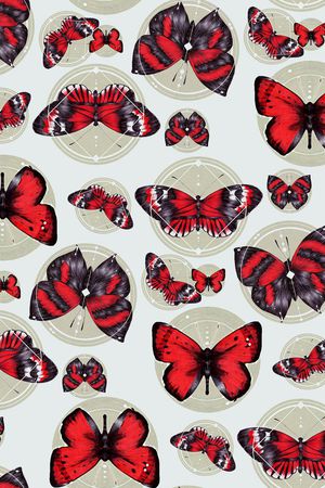 标本蝴蝶印花华亿平台图片