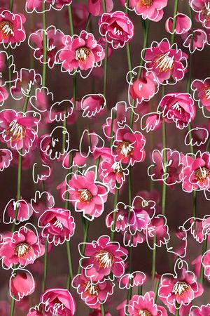 手绘印花华亿平台图片