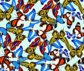 440064-流行时尚缤纷蝴蝶数码印花