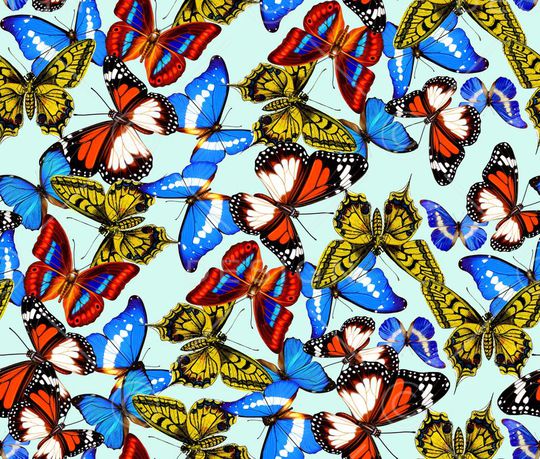 缤纷蝴蝶印花华亿平台图片