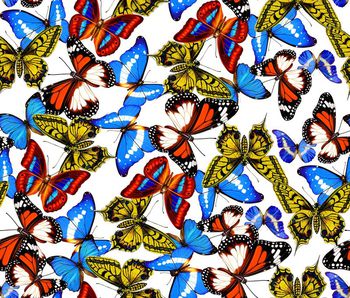 440066-流行时尚缤纷蝴蝶数码印花