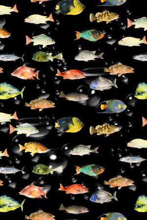 潮流趋势印花华亿平台图片