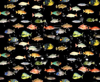 440114-流行时尚海底鱼类水泡印花