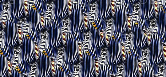 斑马印花华亿平台图片