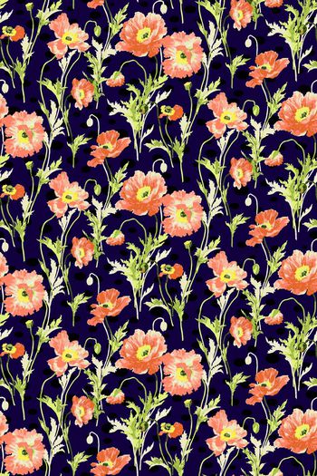 440151-波点罂粟花