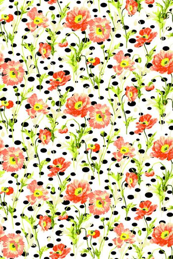 440153-波点罂粟花