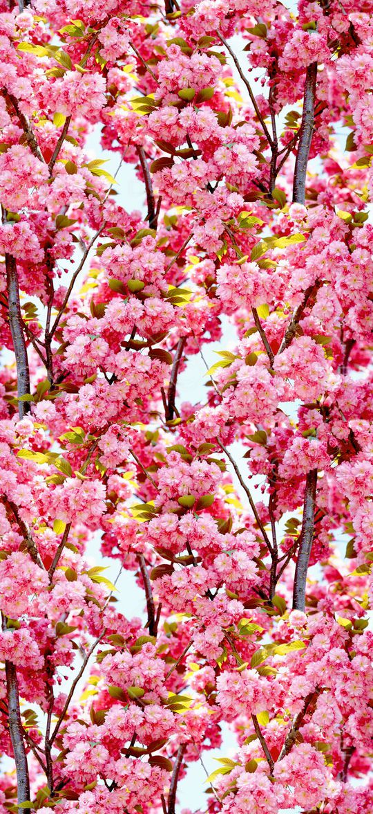 照片风景印花华亿平台图片