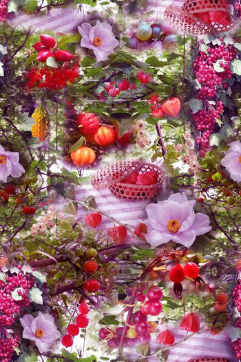 440333-盛夏的果实