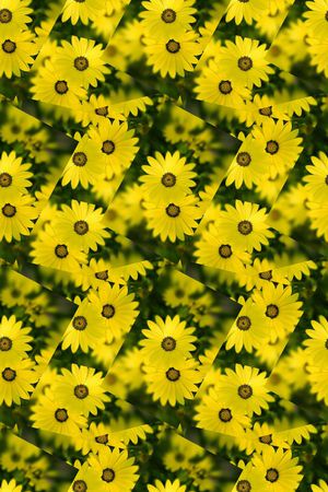 小清新印花华亿平台图片