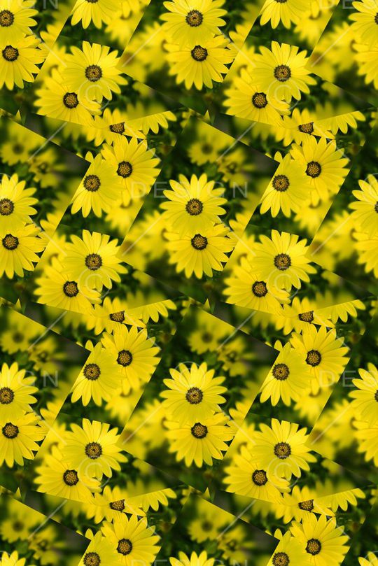 小清新印花华亿平台图片